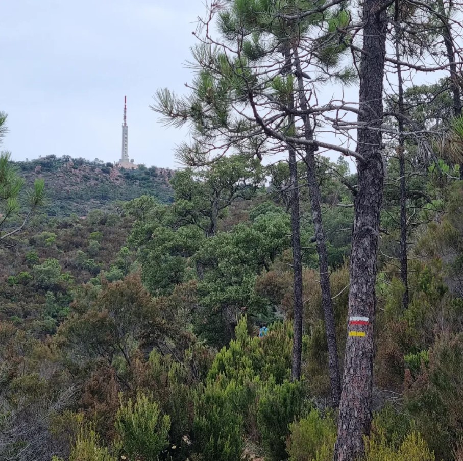 Crédit photo : Théo Vetil 